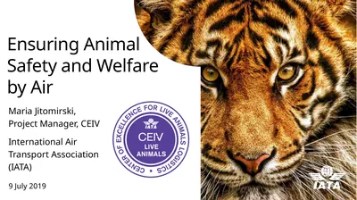 Ensuring Animal Safety and Welfare by Air Maria