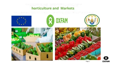 horticulture and Markets Background, Study