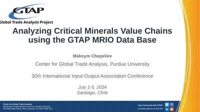 Analyzing Critical Minerals Value Chains using the