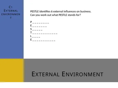 External Environment C1 External environment