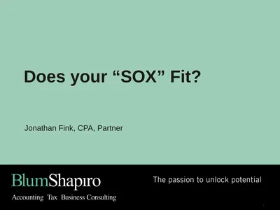 Does your “SOX” Fit? Jonathan Fink, CPA, Partner 1