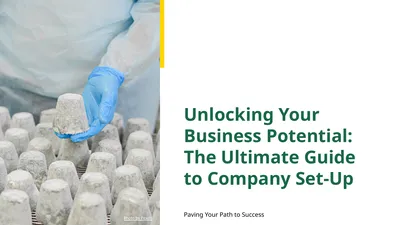 Unlocking Your Business Potential: The Ultimate
