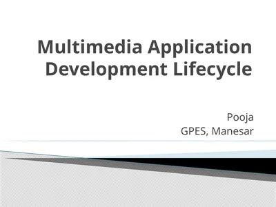 Multimedia Application Development Lifecycle Pooja
