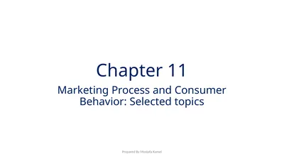 Chapter 11 Marketing Process and Consumer