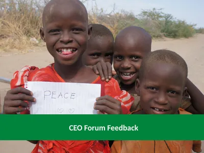 CEO Forum Feedback Overview 1. Small Voices, Big