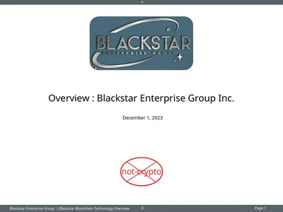 Overview : Blackstar Enterprise Group Inc.