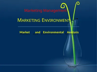 Marketing Management MARKETING ENVIRONMENT Market