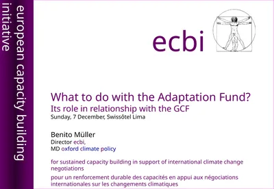 What to do with the Adaptation Fund? Its role in