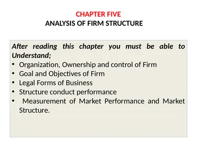 CHAPTER FIVE ANALYSIS OF FIRM STRUCTURE After