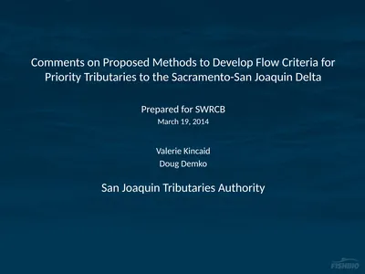 Comments on Proposed Methods to Develop Flow