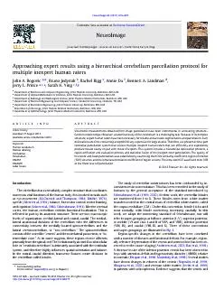 Approachingexpertresultsusingahierarchicalcerebellumparcellationprotoc