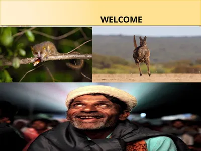 WELCOME III Seminar on Methods of Training