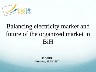 Balancing electricity market and future of the