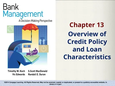 Overview of Credit Policy and Loan Characteristics