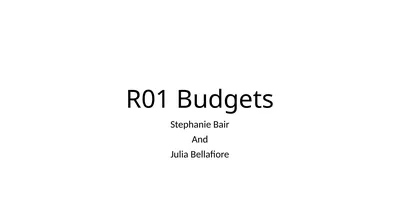 R01 Budgets Stephanie Bair And Julia Bellafiore