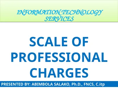 INFORMATION TECHNOLOGY SERVICES SCALE OF