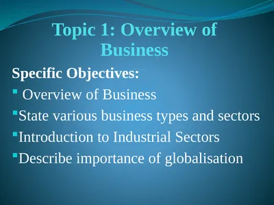 Topic 1: Overview of Business Specific Objectives: