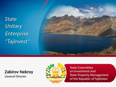 Zabirov Nekroy General Director under the State