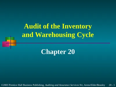 Audit of the Inventory and Warehousing Cycle