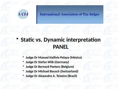 Static vs. Dynamic interpretation PANEL Judge Dr