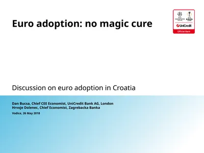 Vodice, 26 May 2018 Dan Bucsa, Chief CEE