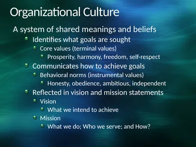 Organizational Culture A system of shared meanings