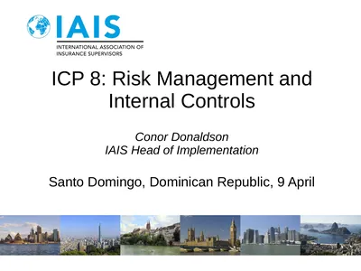 ICP 8: Risk Management and Internal Controls Conor