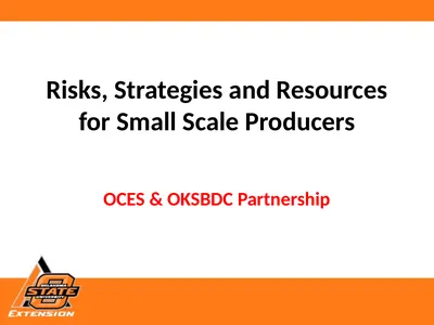 Risks, Strategies and Resources for Small Scale