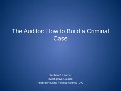 The Auditor: How to Build a Criminal Case Stephen
