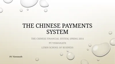 The Chinese payments system The Chinese financial