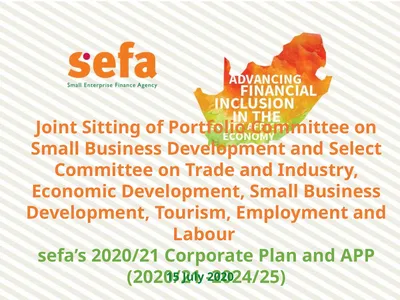 Joint Sitting of Portfolio Committee on Small