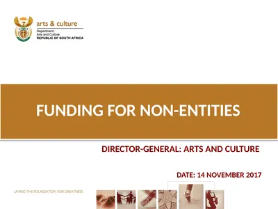 FUNDING FOR NON-ENTITIES DIRECTOR-GENERAL: ARTS