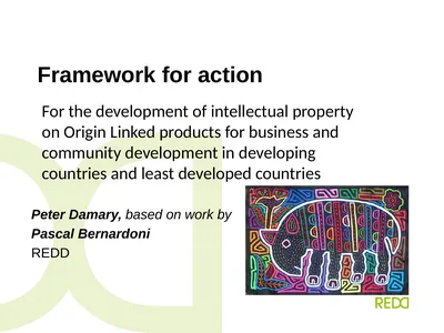 Framework for action Peter Damary, based on work