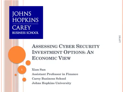 Assessing Cyber Security Investment Options: An