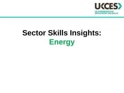 Sector Skills Insights: Energy Introduction The UK
