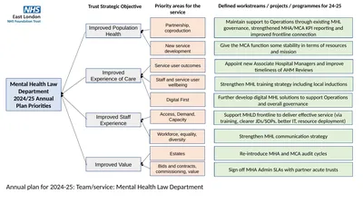 Mental Health Law Department 2024/25 Annual Plan