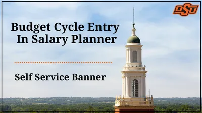 Budget Cycle Entry In Salary Planner Self Service
