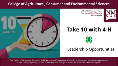 Take 10 with 4-H Leadership Opportunities