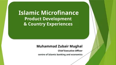 Muhammad Zubair Mughal Chief Executive Officer