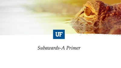 Subawards-A Primer What this is not… Outgoing