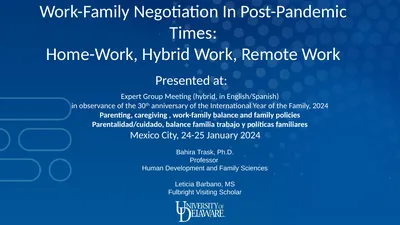 Expert Group Meeting (hybrid, in English/Spanish)