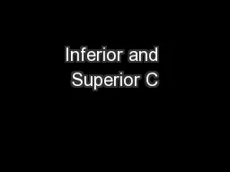 Inferior and Superior C