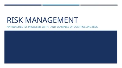 Risk Management Approaches to, problems with, and