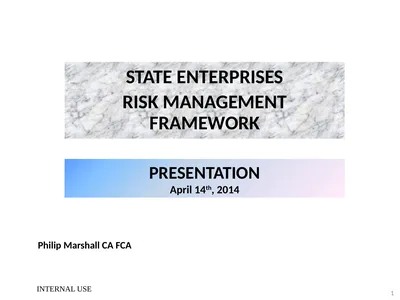 STATE ENTERPRISES RISK MANAGEMENT FRAMEWORK 1