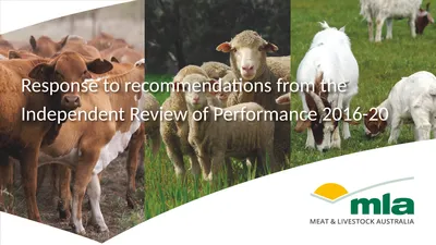 Response to recommendations from the Independent