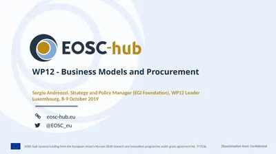 WP12 - Business Models and Procurement Sergio