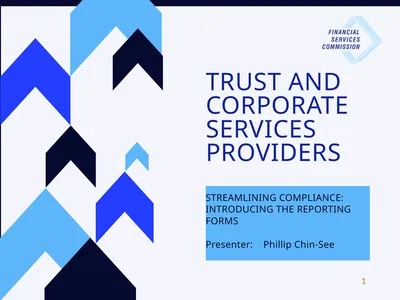 TRUST AND CORPORATE SERVICES PROVIDERS