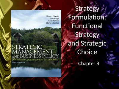 Strategy Formulation: Functional Strategy and