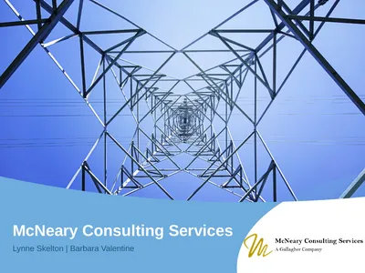 1 McNeary Consulting Services Lynne Skelton |