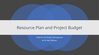 Resource Plan and Project Budget LOOM.02.124